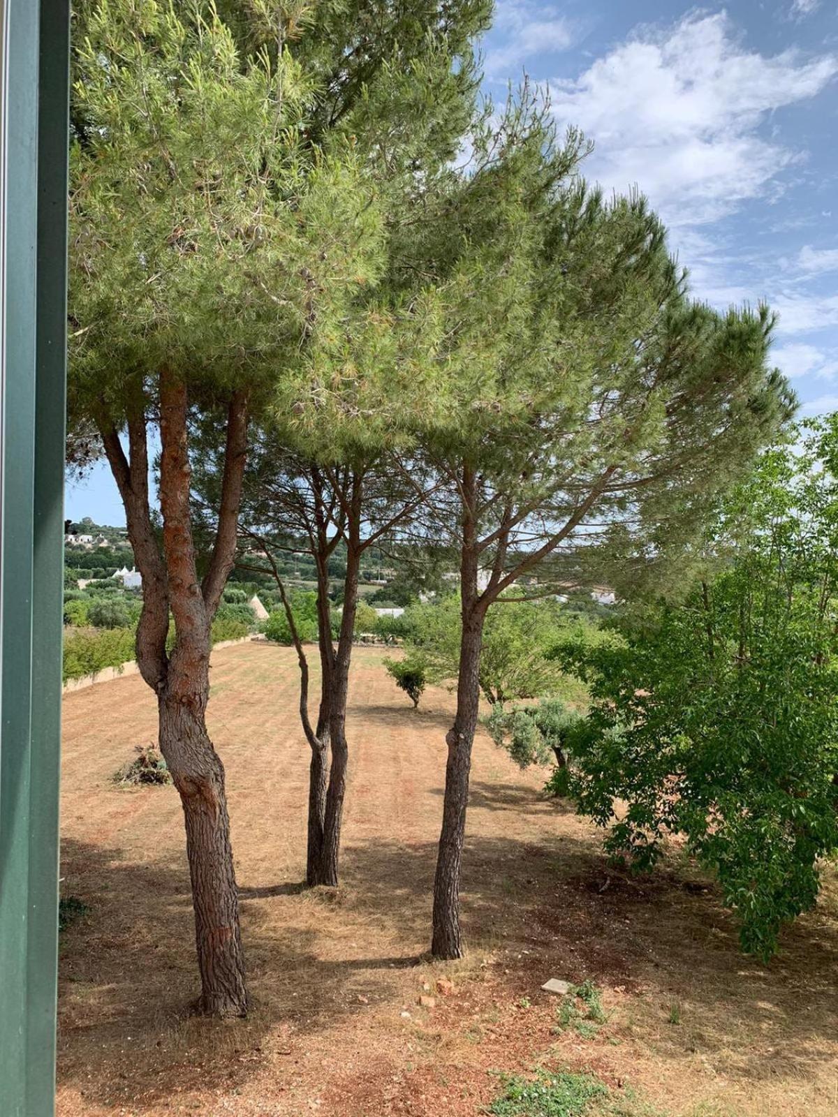 Villa Amabile Panoramic House Kellie Messapica Kültér fotó